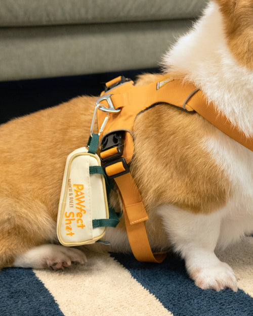 MARCH&RALLY Living DOG WALKING UTILITY POUCH PAWFECT SHOT