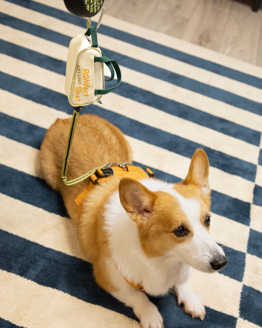 MARCH&RALLY Living DOG WALKING UTILITY POUCH PAWFECT SHOT