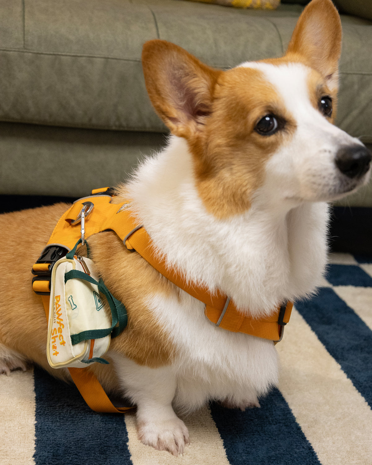 MARCH&RALLY Living DOG WALKING UTILITY POUCH PAWFECT SHOT