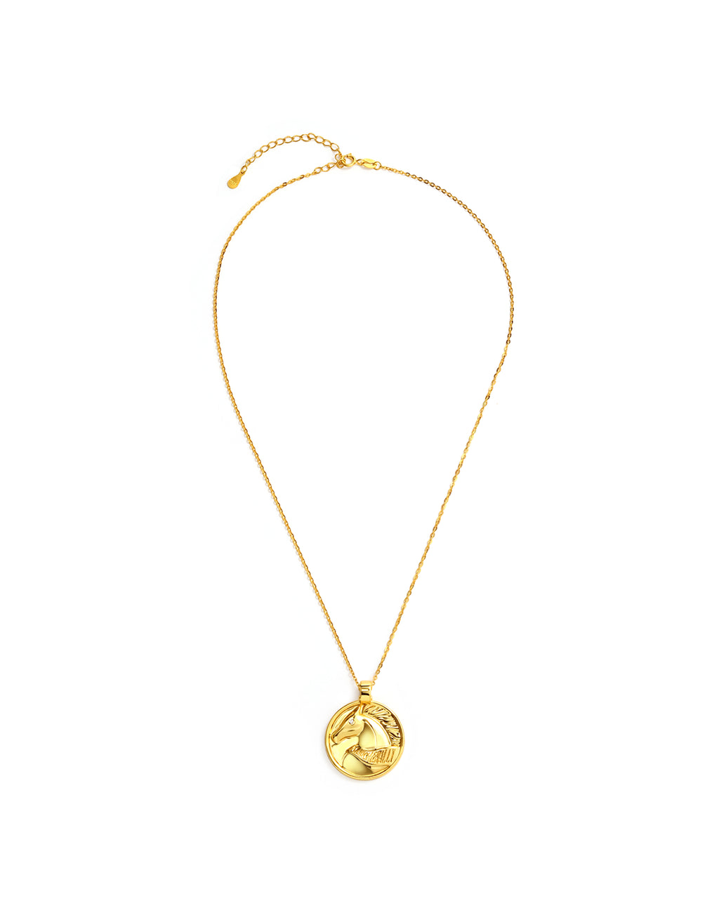 MARCH&RALLY THE LUCKY COIN NECKLACE RIDE WITH LUCK
