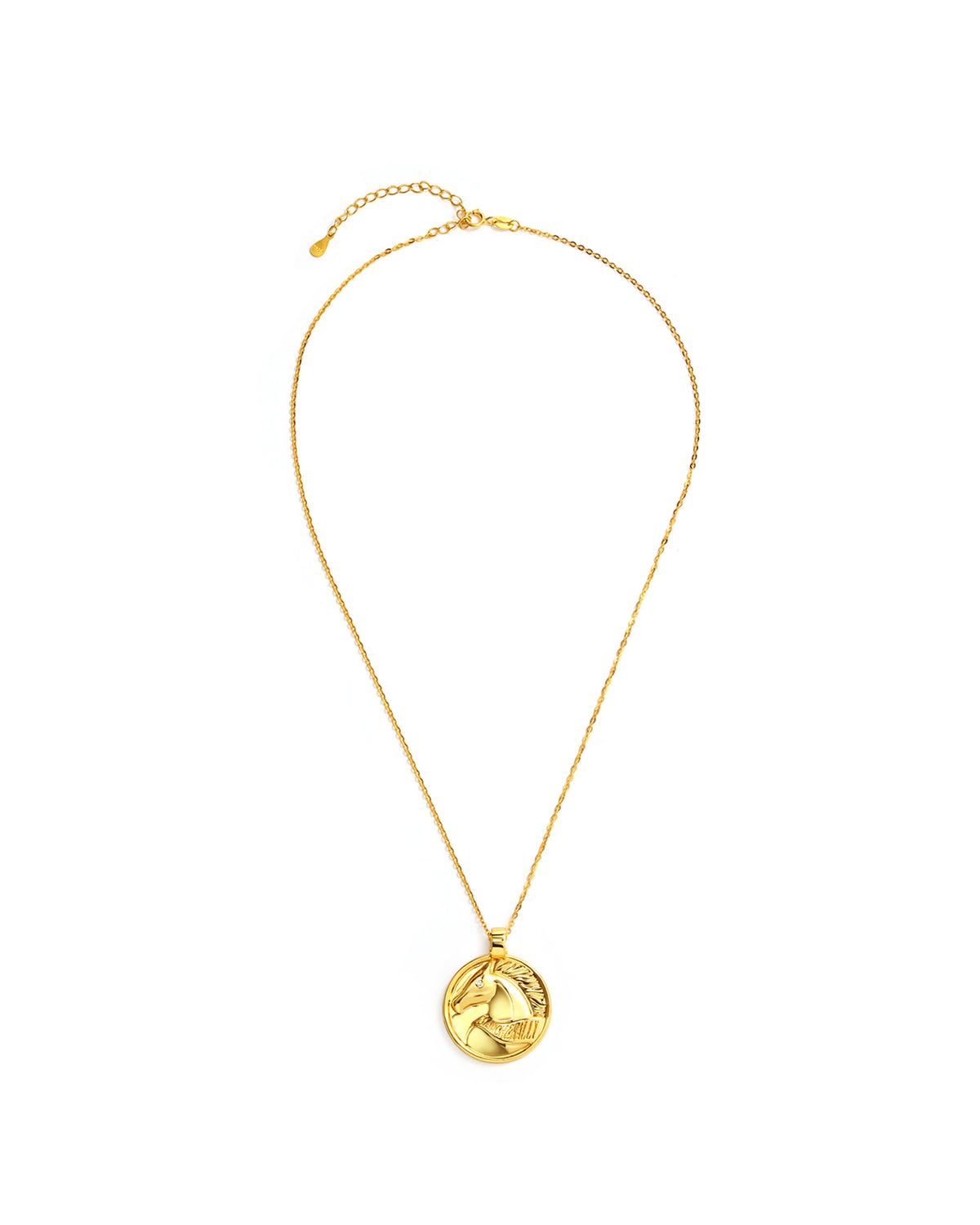 MARCH&RALLY THE LUCKY COIN NECKLACE RIDE WITH LUCK